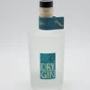 Dry Gin 21 -Getränke Verkaufsgeschäft dsc08747 fotor