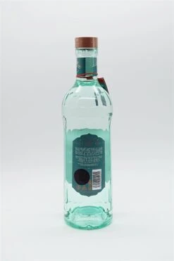 Vintage Dry Gin -Getränke Verkaufsgeschäft dsc08903 fotor